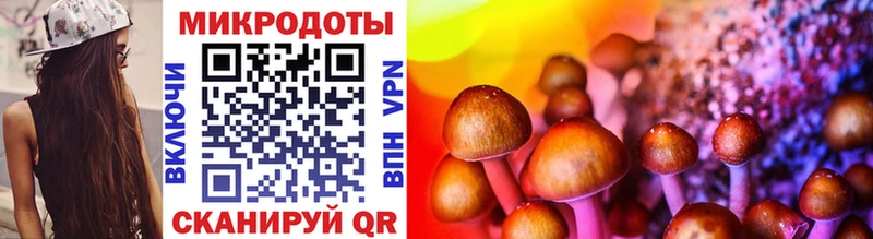 Галлюциногенные грибы Psilocybe  Суоярви 